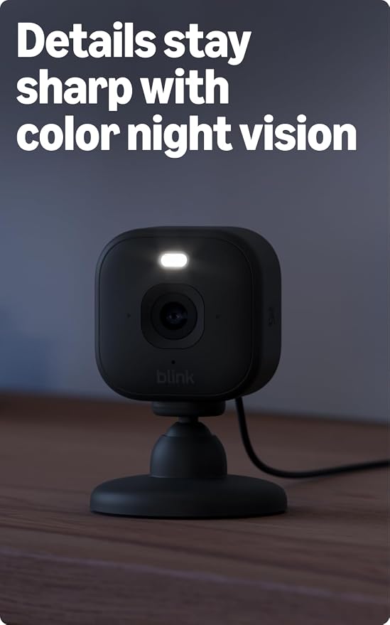 Blink Mini 2K+ (último modelo)
