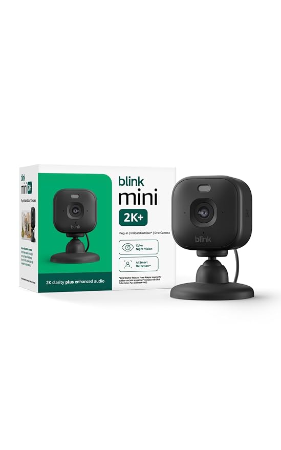 Blink Mini 2K+ (último modelo)