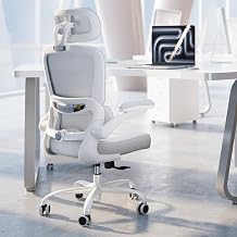 TRALT Silla ergonómica de oficina, silla de escritorio con reposacabezas ajustable, silla de computadora de soporte lumbar, silla cómoda de malla con reposabrazos abatibles, sillas de juegos para