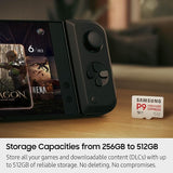 Samsung P9 Express microSDXC 512GB para Nintendo Switch 2